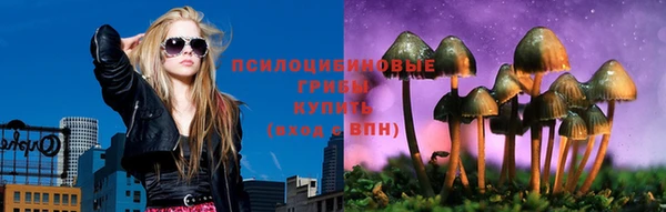 PSILOCYBIN Приозерск