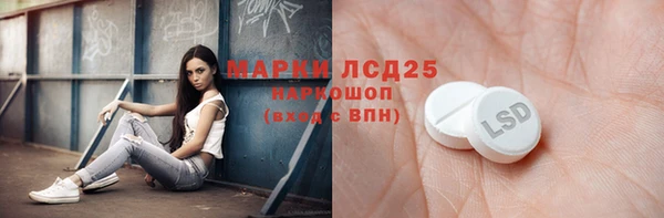 PSILOCYBIN Приозерск